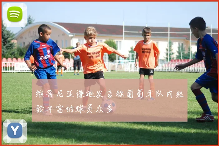 维蒂尼亚谦逊发言称葡萄牙队内经验丰富的球员众多